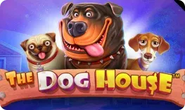 Ampm – The Dog House